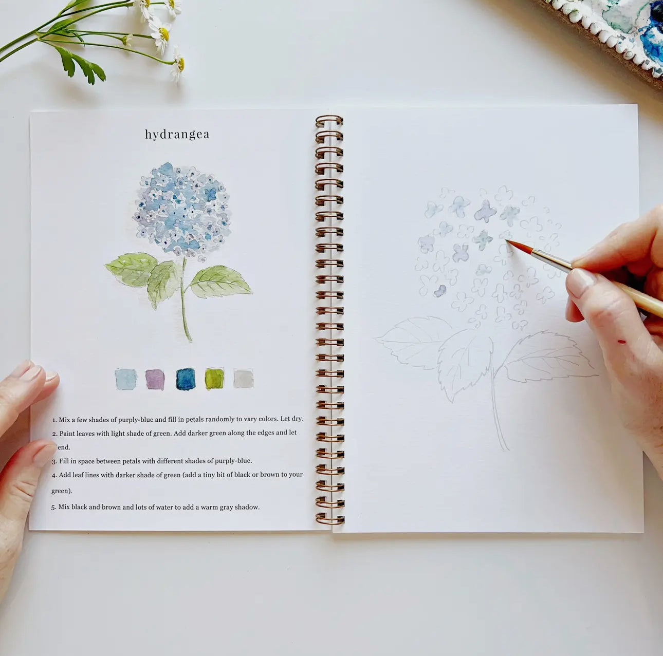 Flowers Watercolor Workbook by Emily Lex Studio