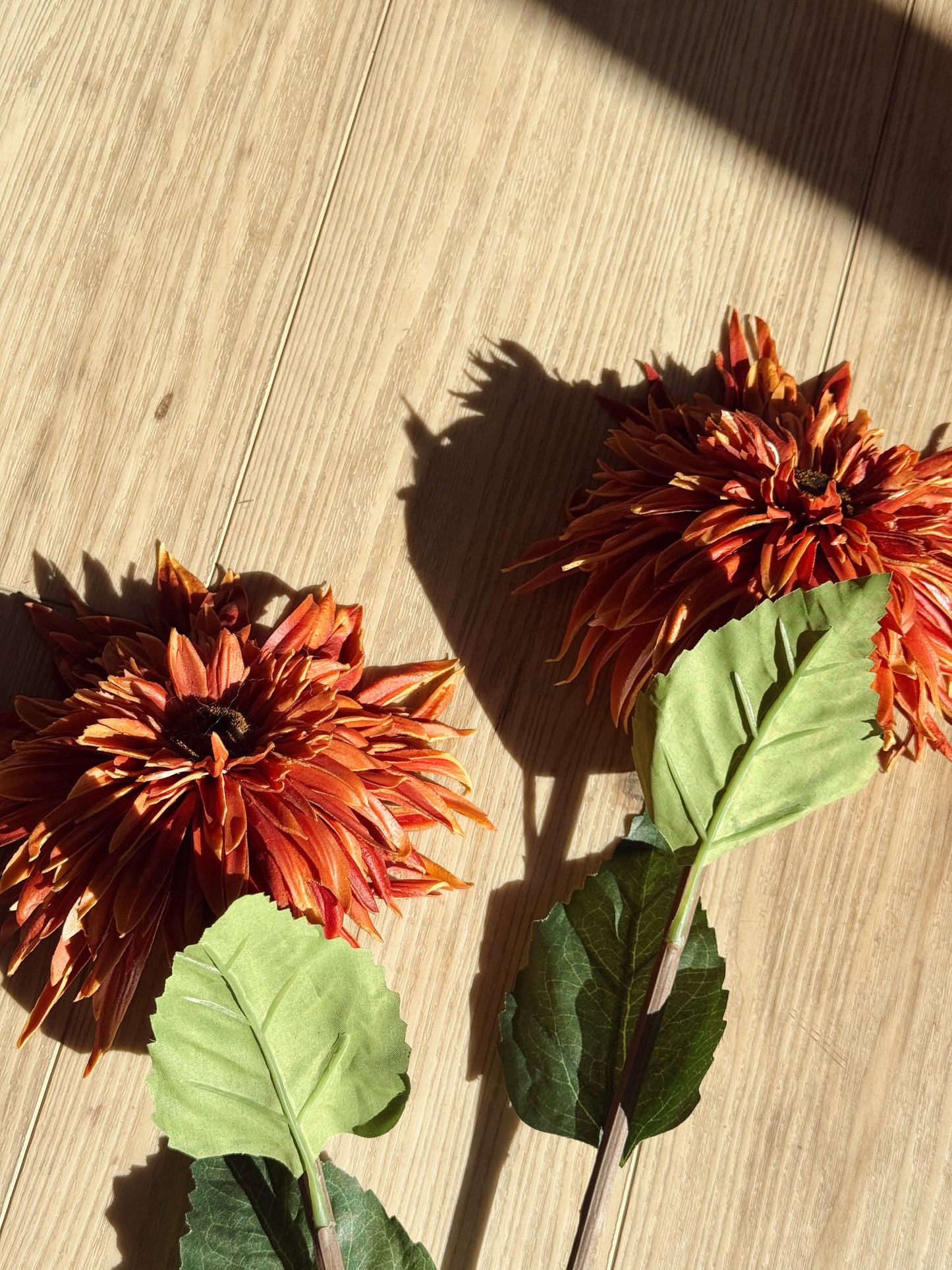 Autumn Florals Sienna Spider Gerbera Daisy Stem – 24.5”