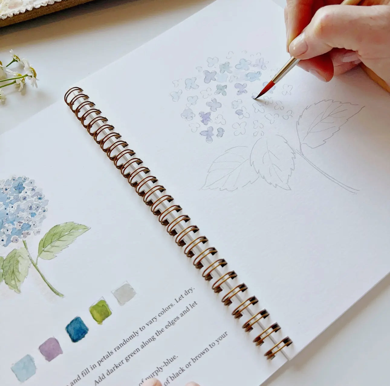 Flowers Watercolor Workbook by Emily Lex Studio
