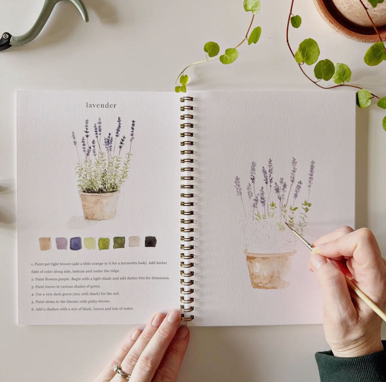 Garden Watercolor Workbook by Emily Lex Studio
