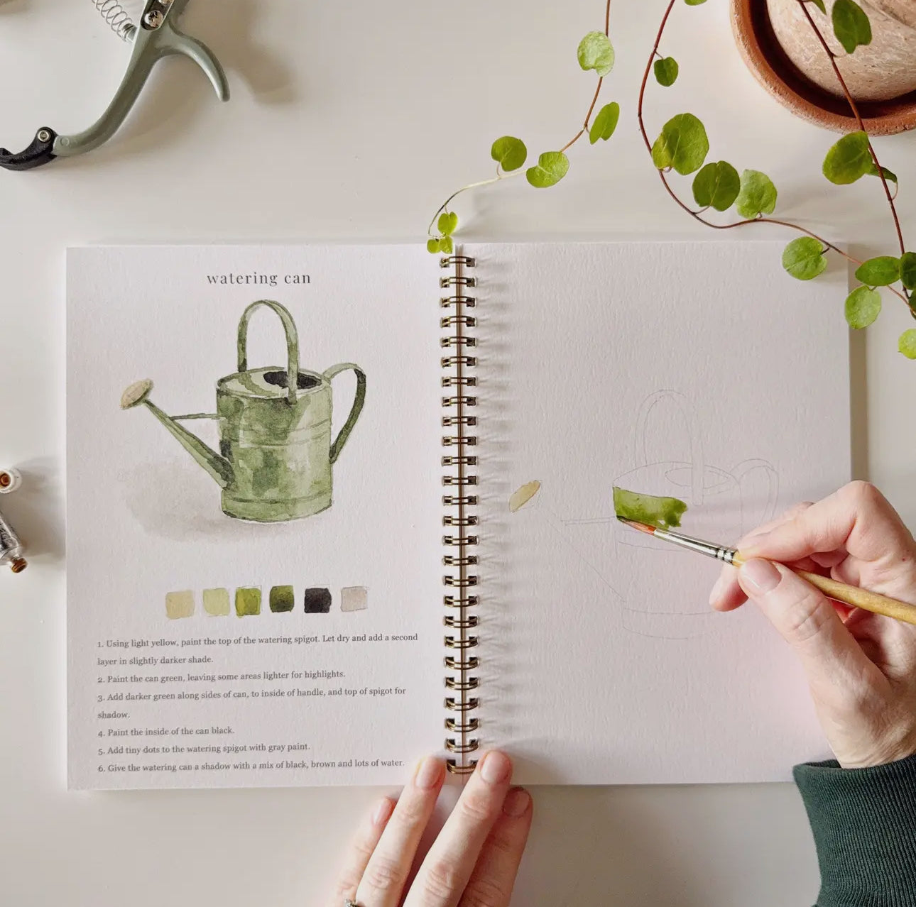 Garden Watercolor Workbook by Emily Lex Studio