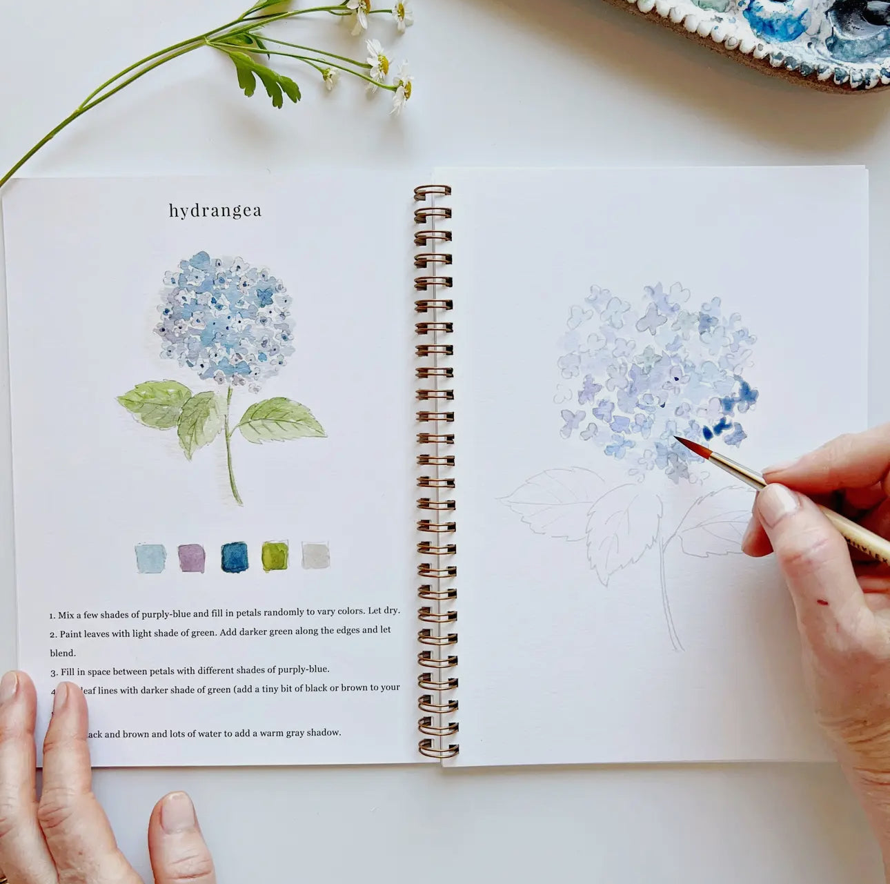 Flowers Watercolor Workbook by Emily Lex Studio