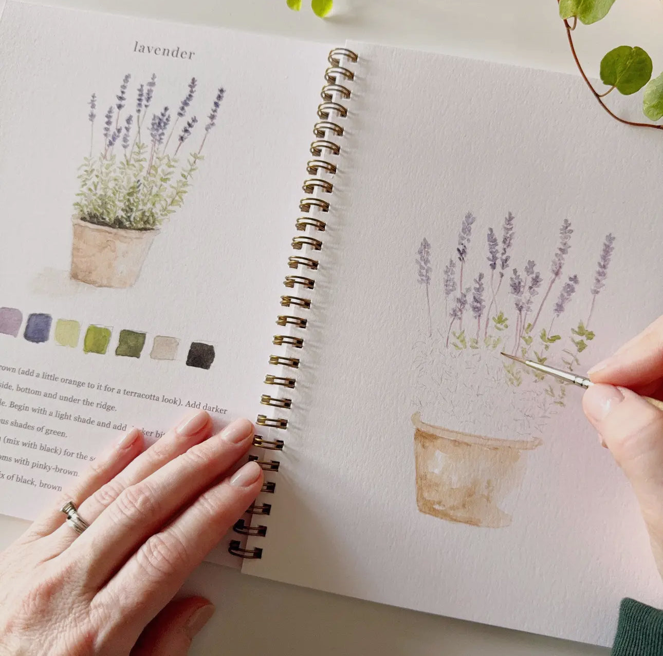 Garden Watercolor Workbook by Emily Lex Studio