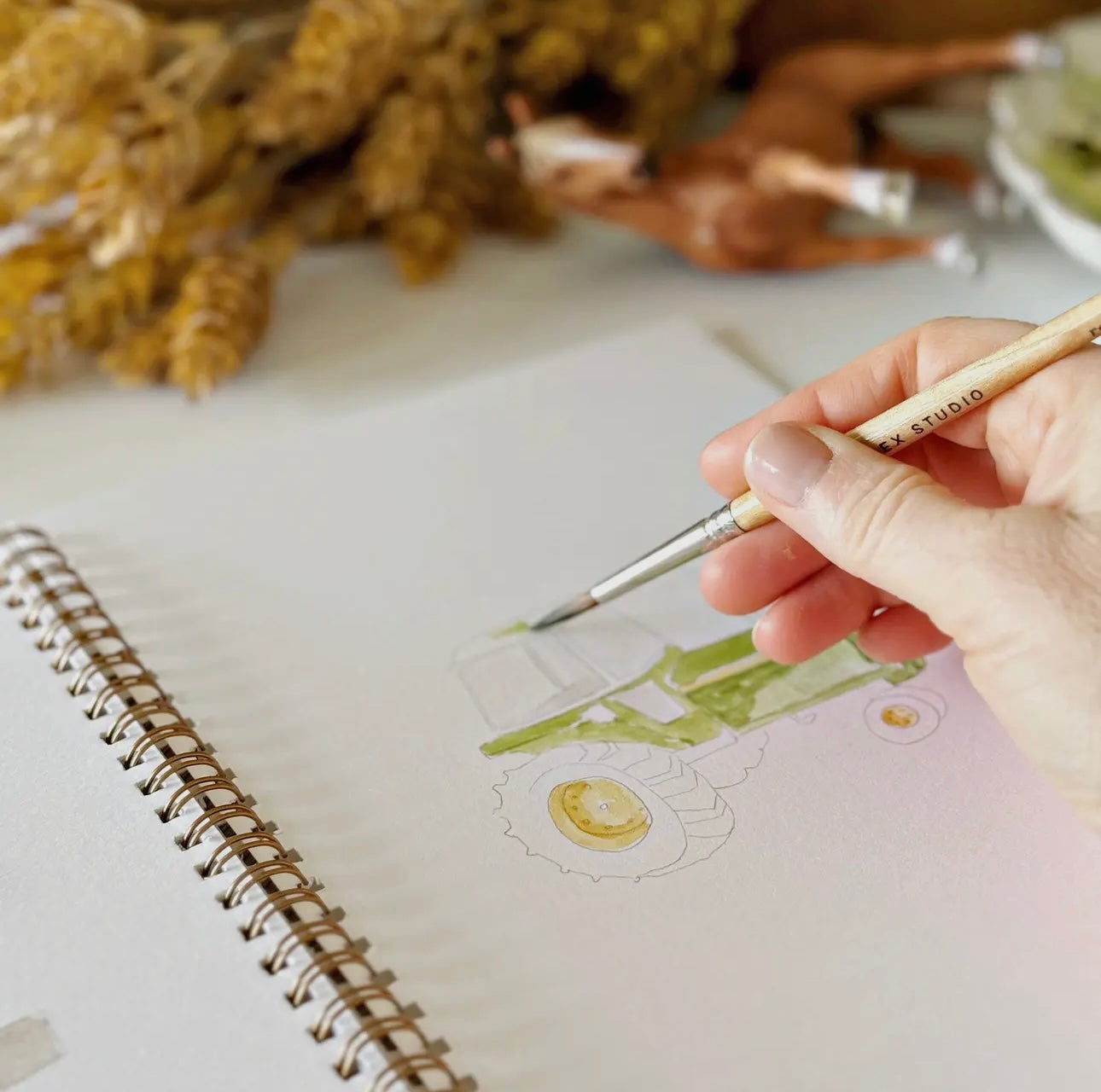 Farm Watercolor Workbook by Emily Lex Studio