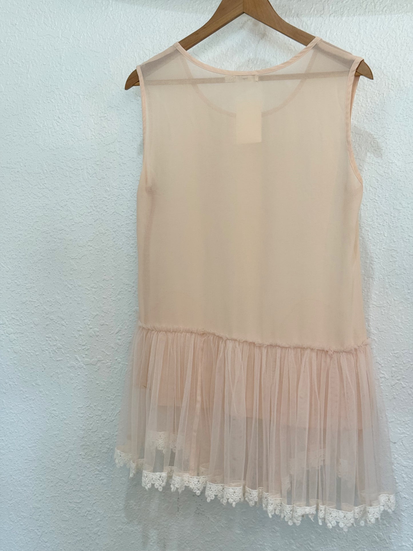 Hazel Blush Sheer Mesh Dress with Tulle Skirt and Lace Trim – Size L (Anthropologie)