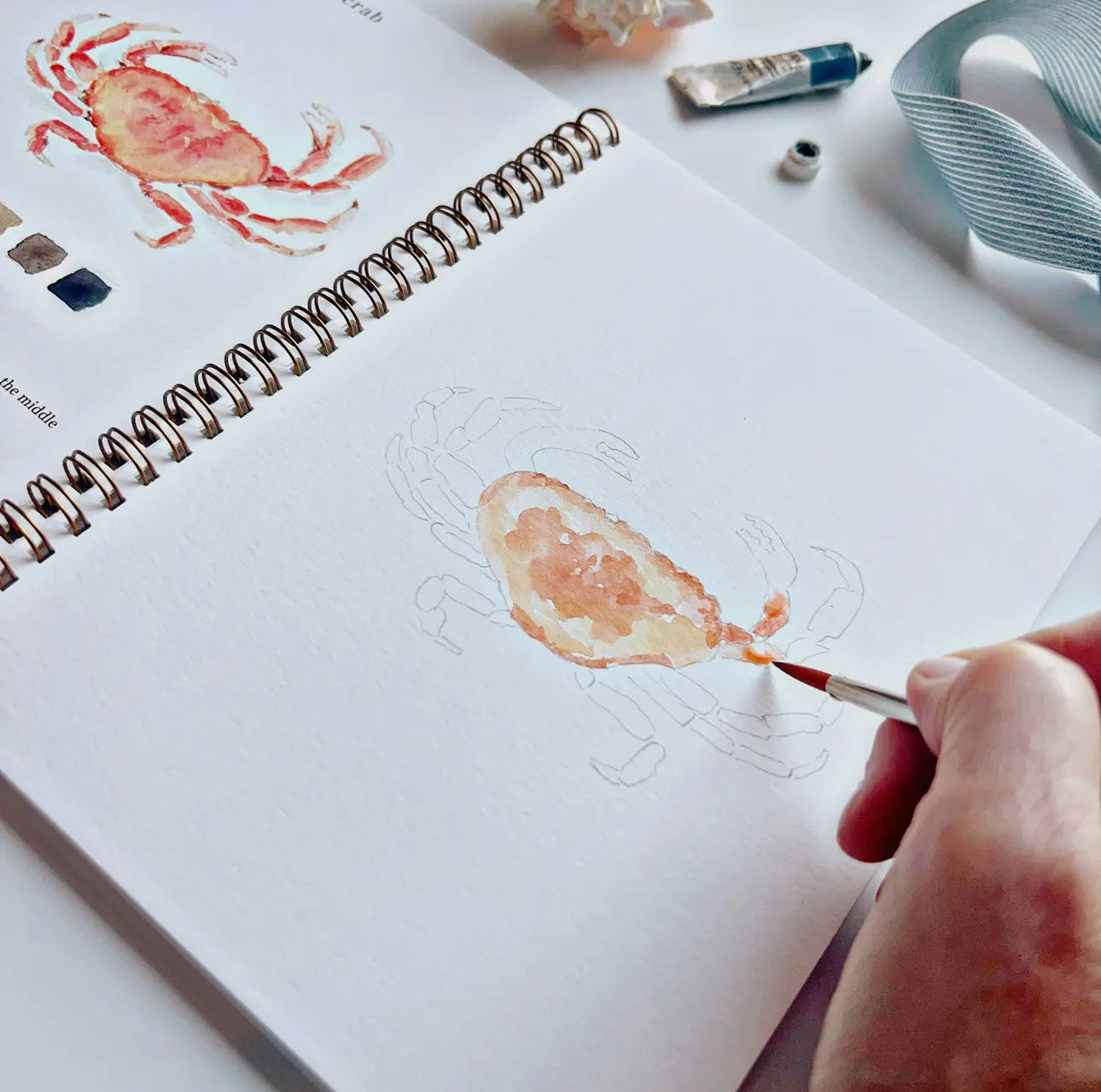 Seaside Watercolor Workbook by Emily Lex Studio