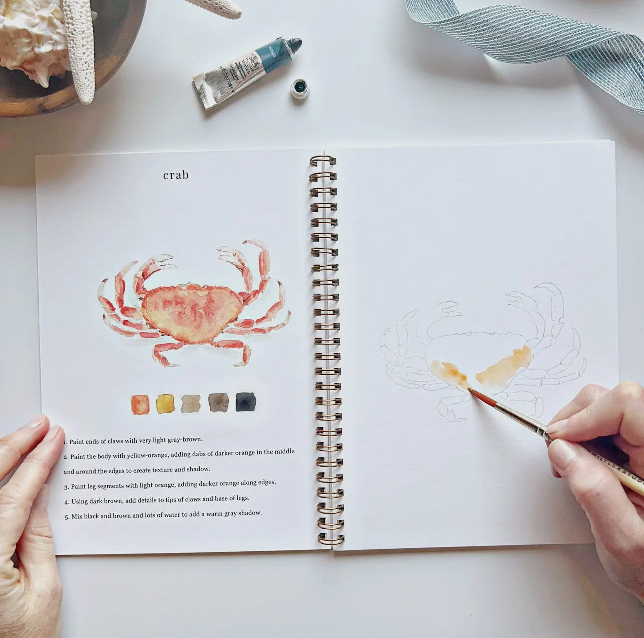 Seaside Watercolor Workbook by Emily Lex Studio