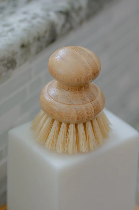 No Tox Life Casa Agave Dish Washing Hand Brush -