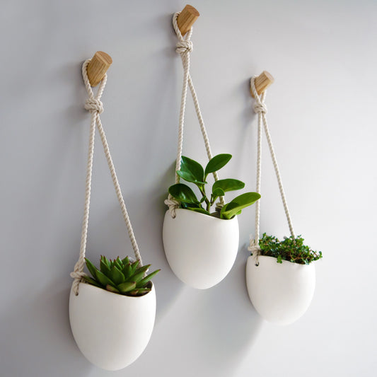 3 Piece Set Porcelain Wall Plant Holder with Wooden Hooks