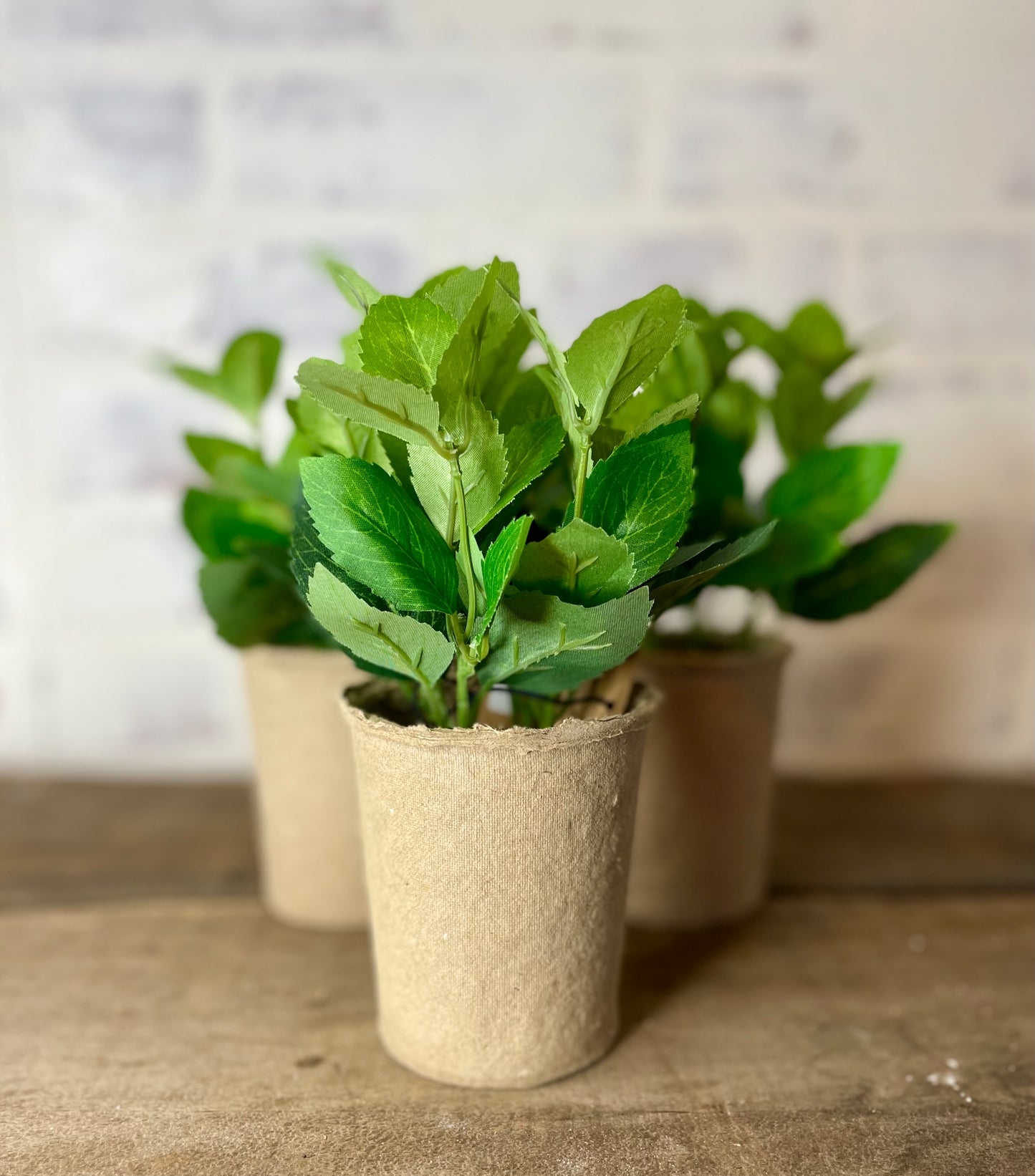 7-1/2"H Faux Herb in Paper Pot